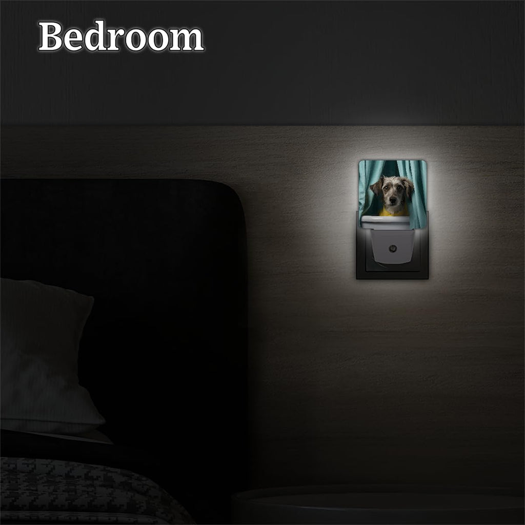 Plug-in Dusk to Dawn Sensor LED Night Light 2 Pack J44245