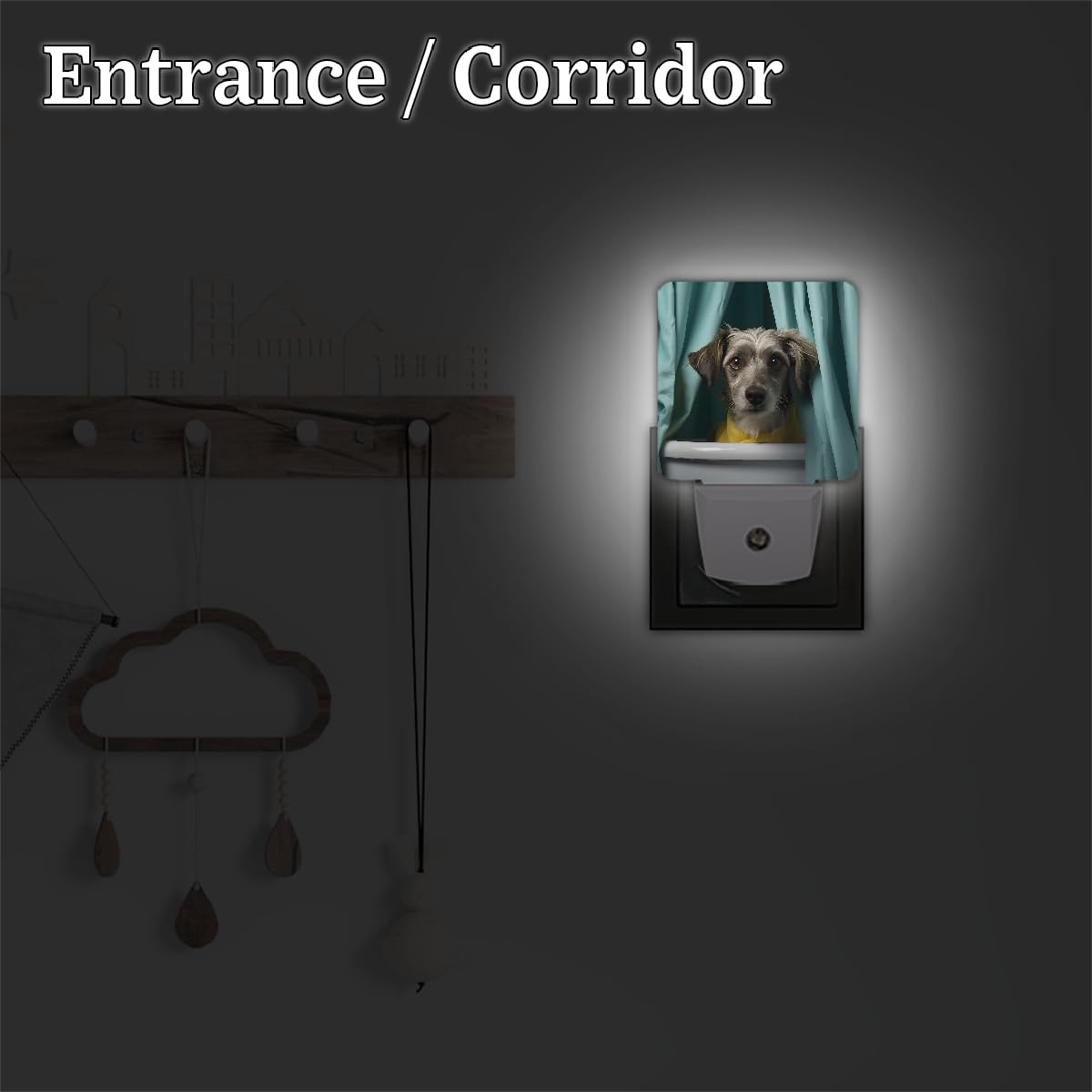 Plug-in Dusk to Dawn Sensor LED Night Light 2 Pack J44245