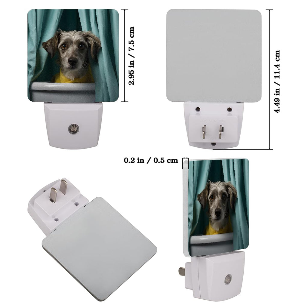 Plug-in Dusk to Dawn Sensor LED Night Light 2 Pack J44245