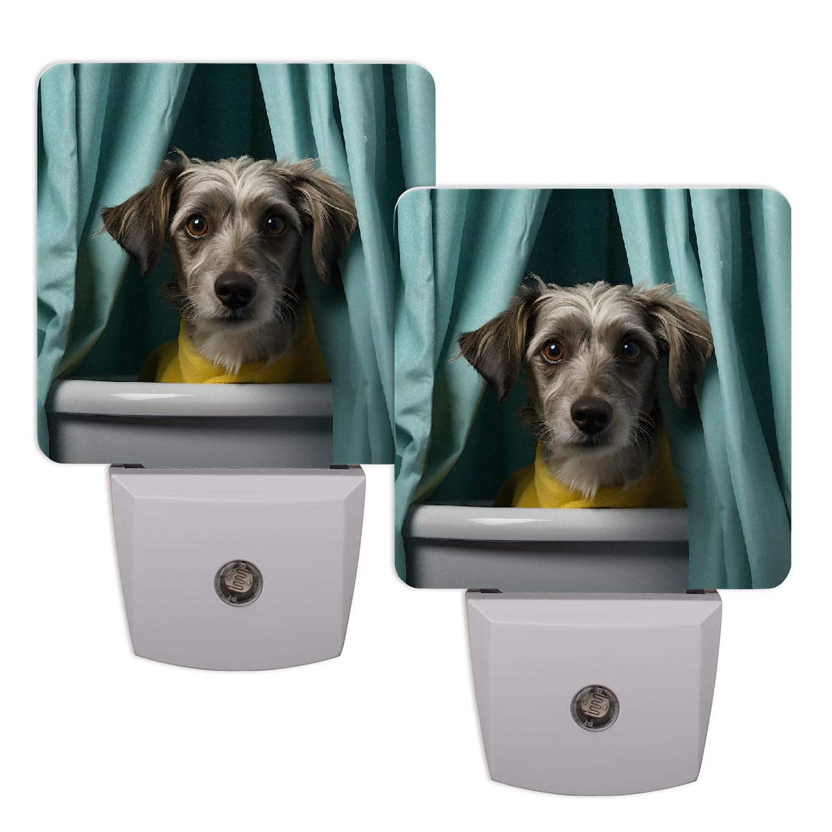 Plug-in Dusk to Dawn Sensor LED Night Light 2 Pack J44245
