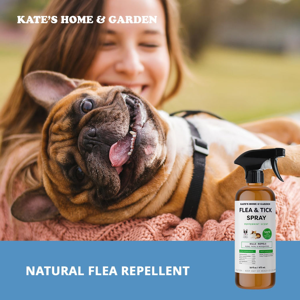 Flea and Tick Spray for Dogs & Cats 16oz Z6463