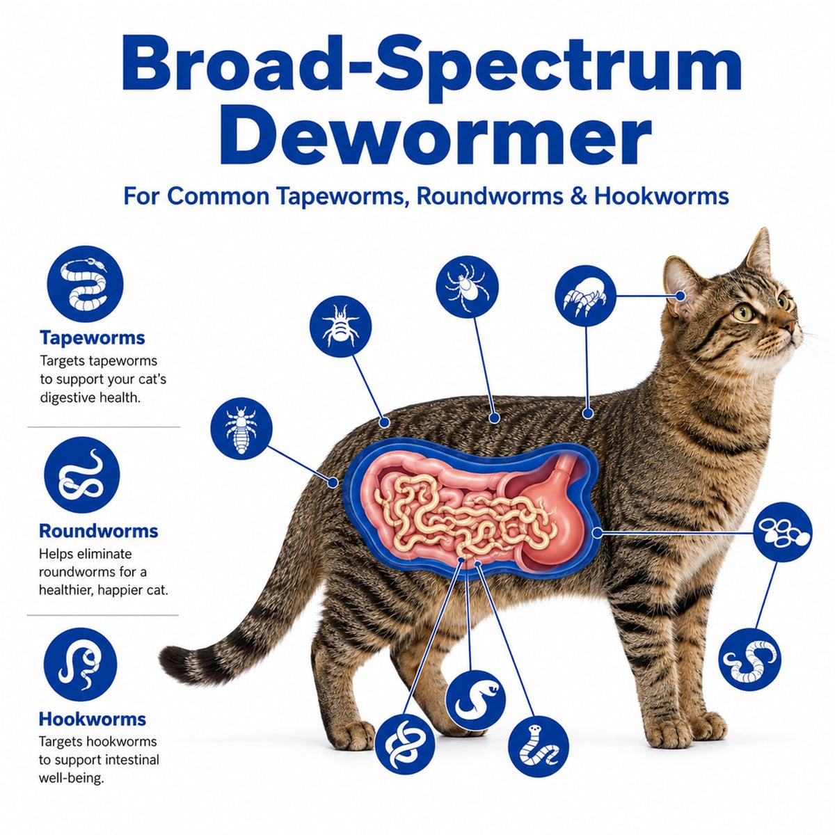 Cat and Kitten Dewormer 100 Tablets S727517