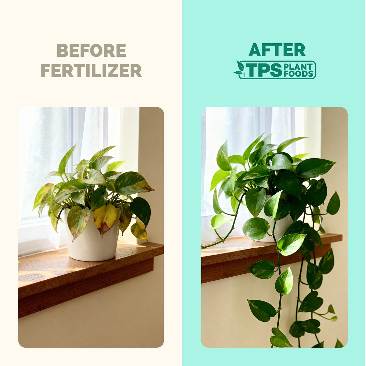 Indoor Plant Food Liquid Fertilizer 32oz V770806