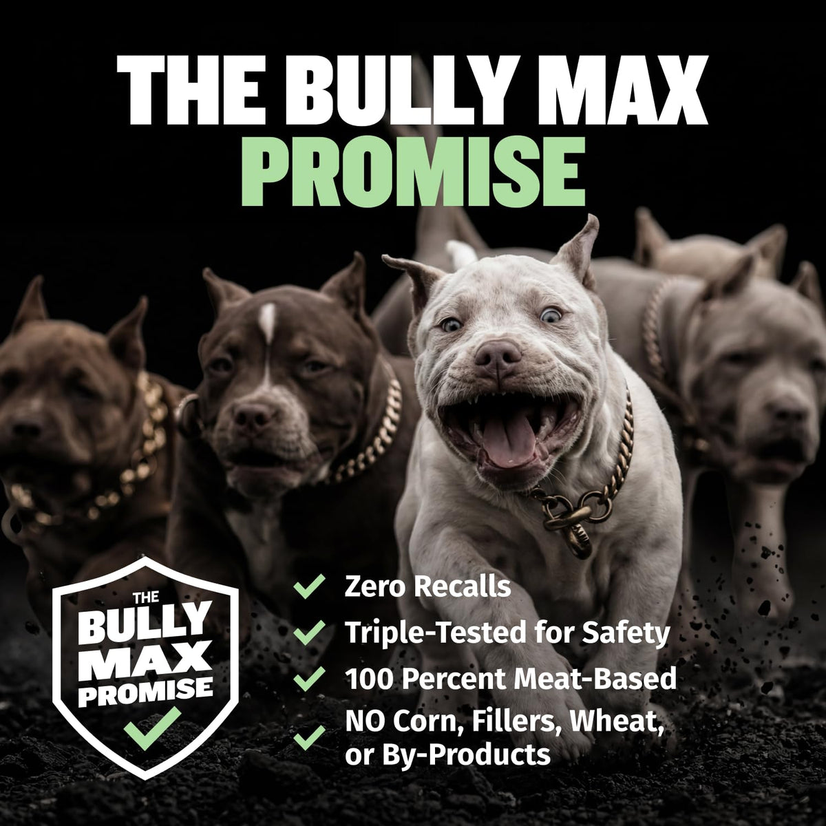 High Protein Lamb and Rice Dry Dog Food for Puppies, 5 lb Bag J101906