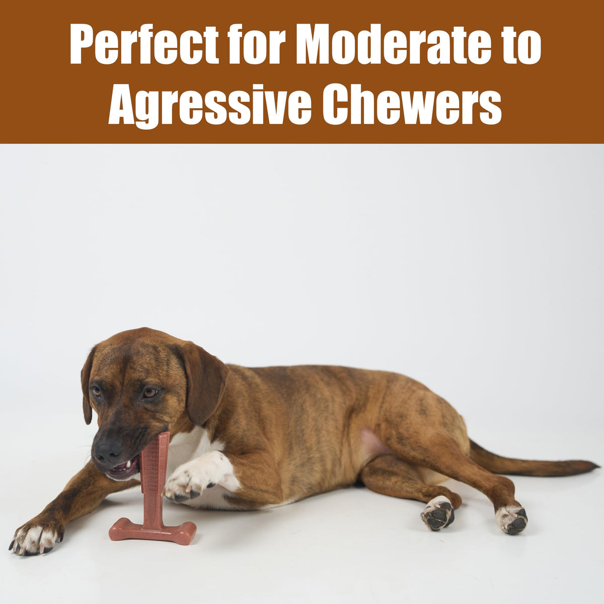 Beef Dog Chew T856