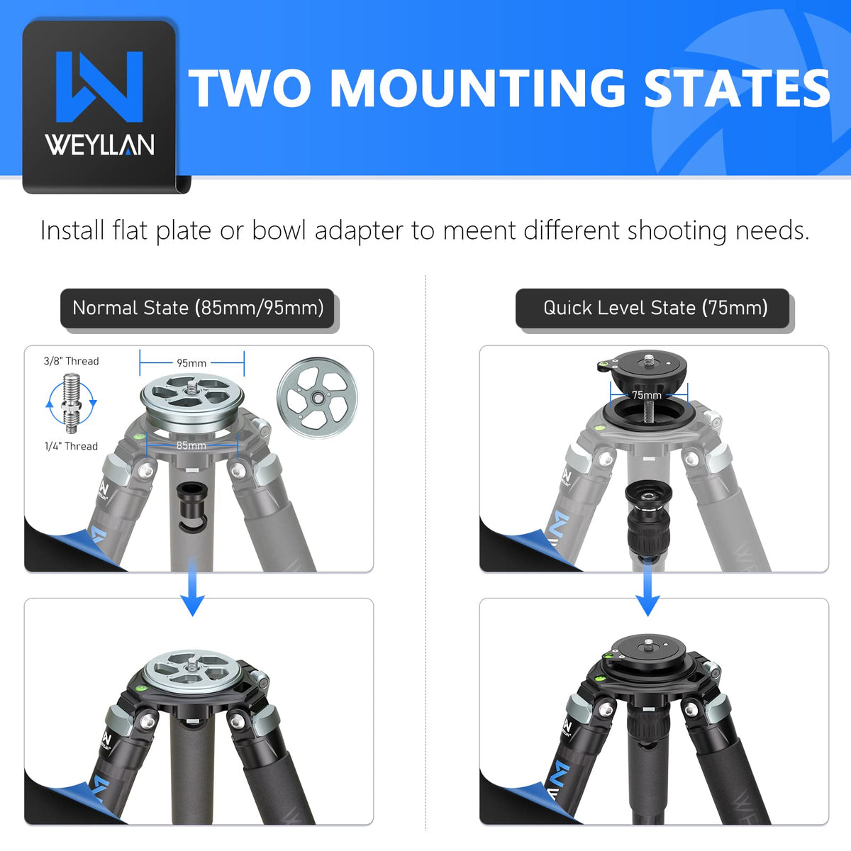 Carbon Fiber Tripod with 75mm Bowl and Adapter H557518