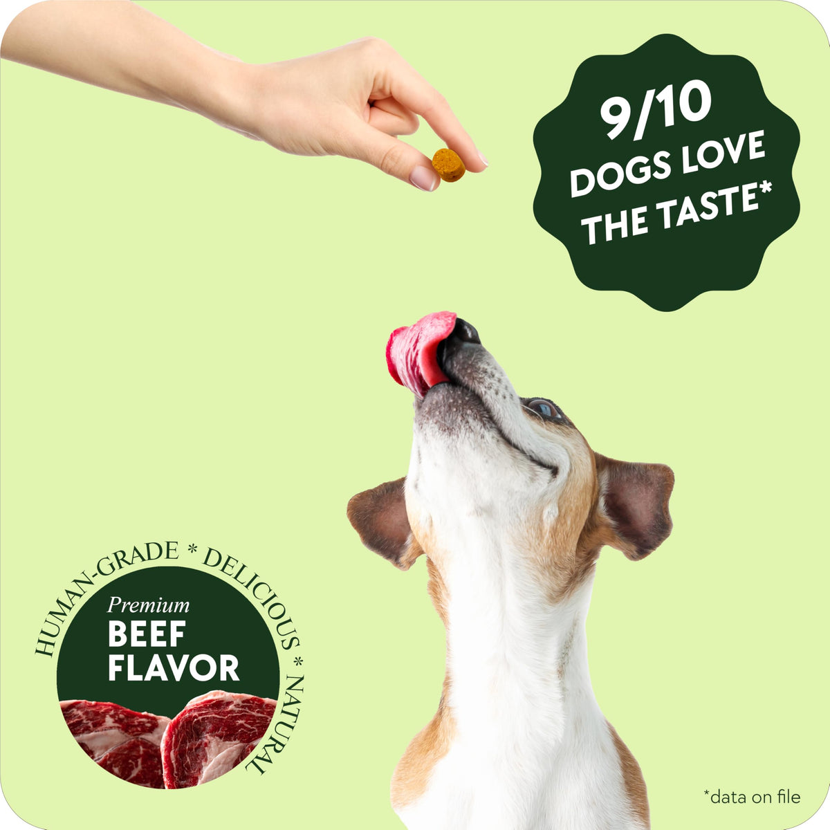 Chewable Flea and Tick Prevention for Dogs 120 Chews Beef C33813