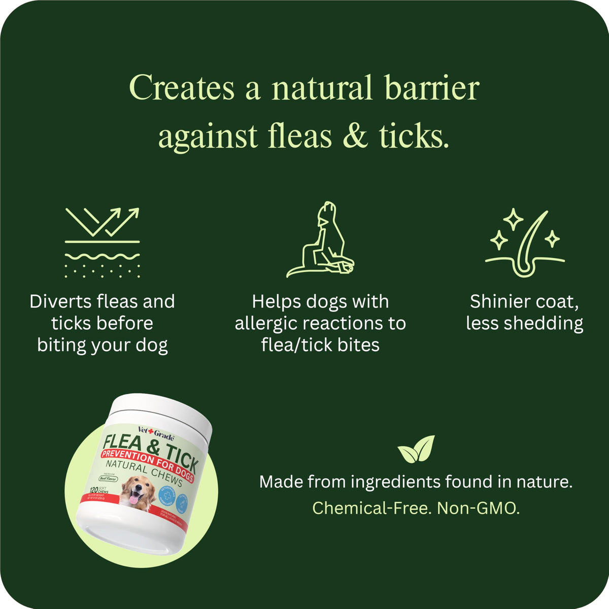 Chewable Flea and Tick Prevention for Dogs 120 Chews Beef C33813