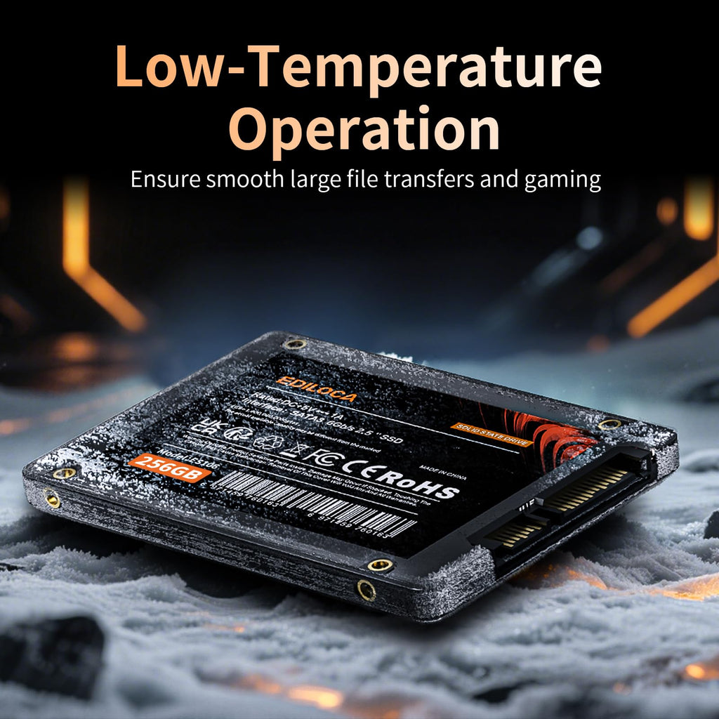 256GB 2.5" SATA III Internal Solid State Drive U4486
