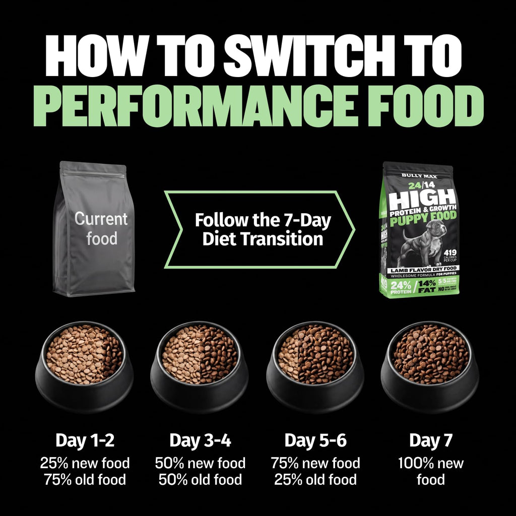 High Protein Lamb and Rice Dry Dog Food for Puppies, 5 lb Bag J101906