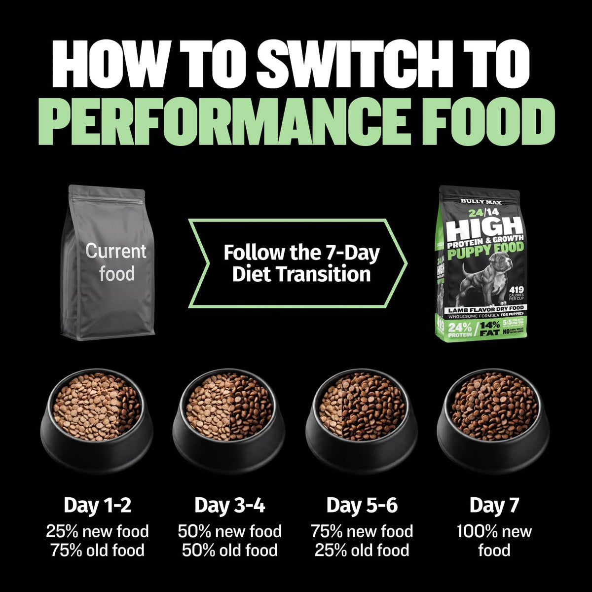 High Protein Lamb and Rice Dry Dog Food for Puppies, 5 lb Bag J101906