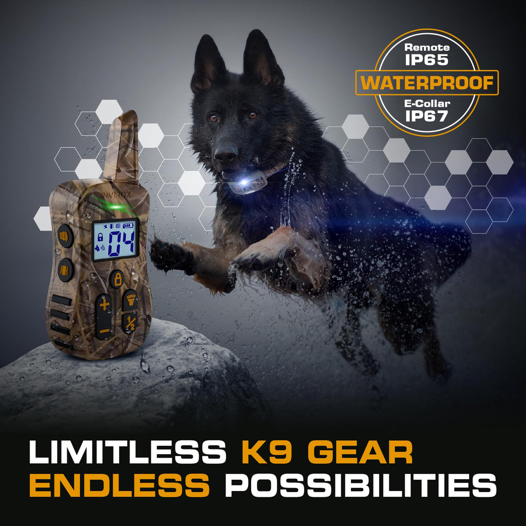 Dog Training Collar with Remote H49186