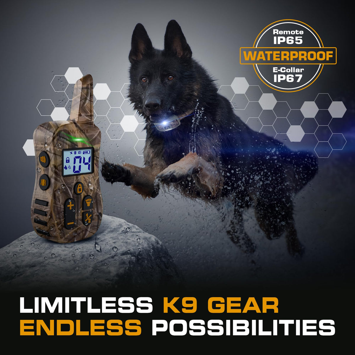 Dog Training Collar with Remote H49186