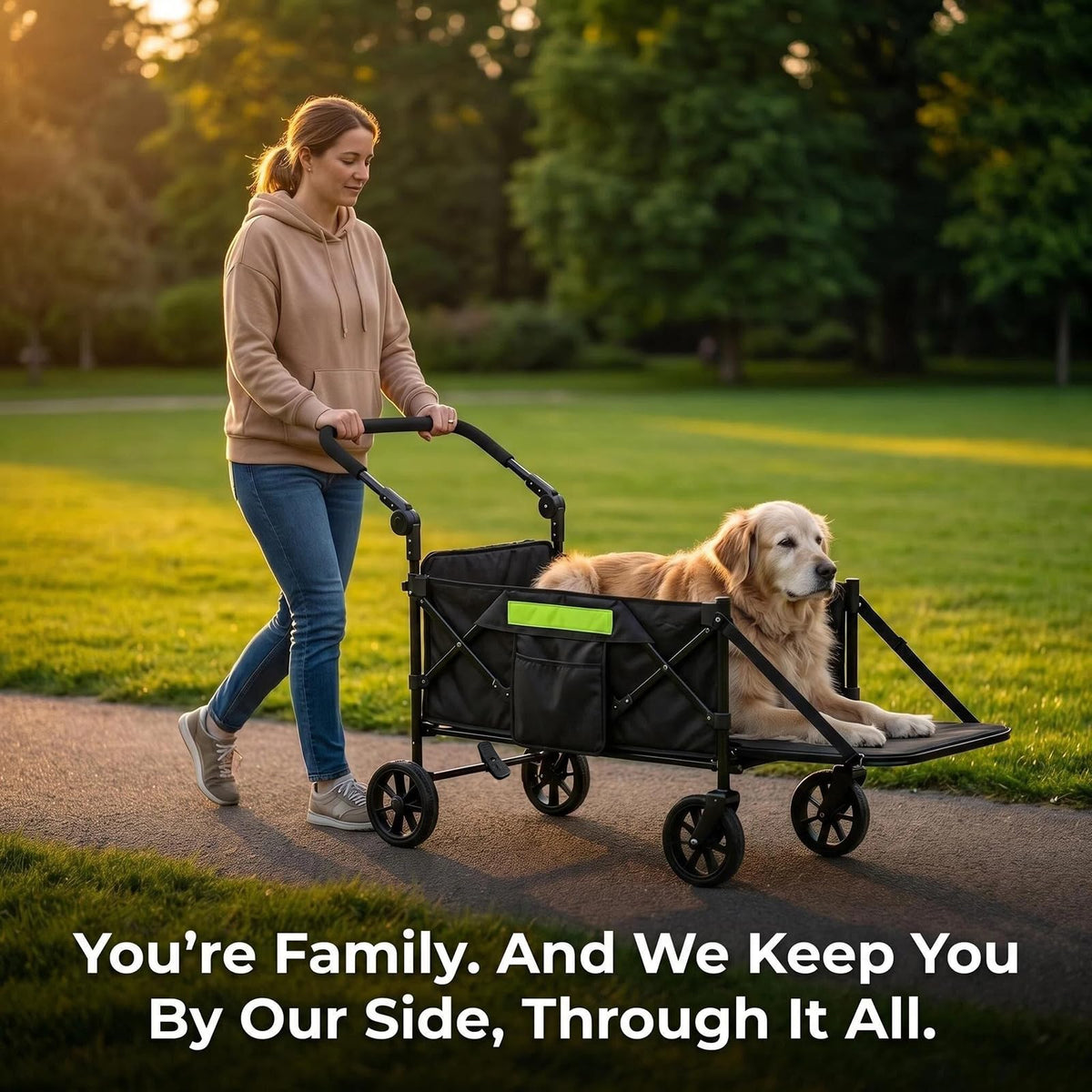 Dual-Entry Dog Wagon with Thick Mat & Lift Harness F918