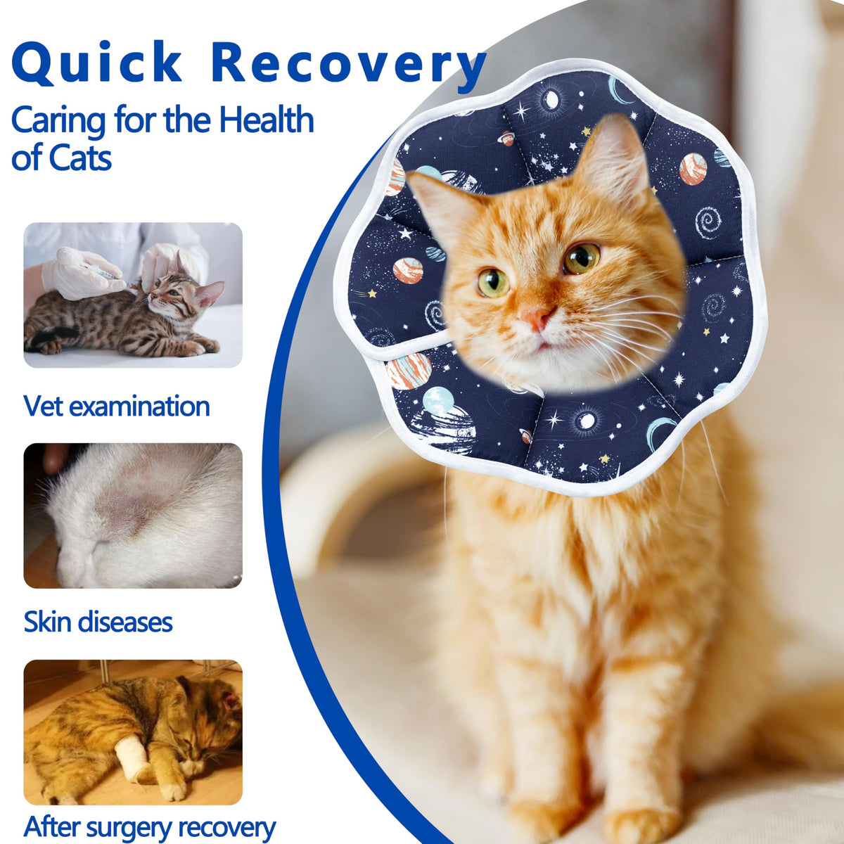 Adjustable Cat Recovery Collar G607587