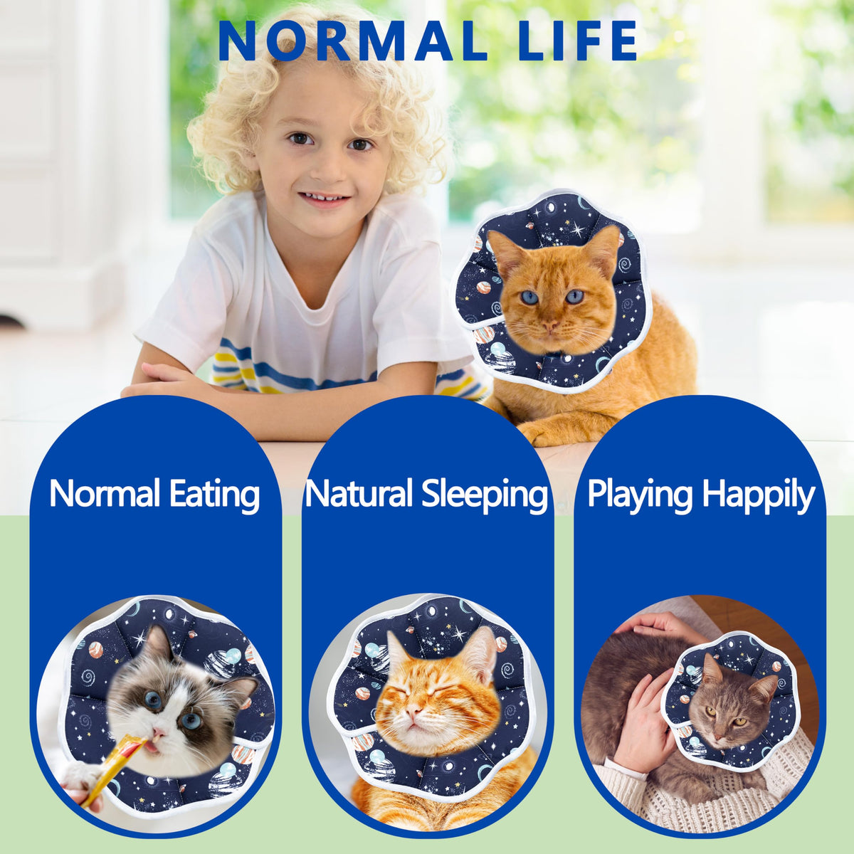 Adjustable Cat Recovery Collar G607587