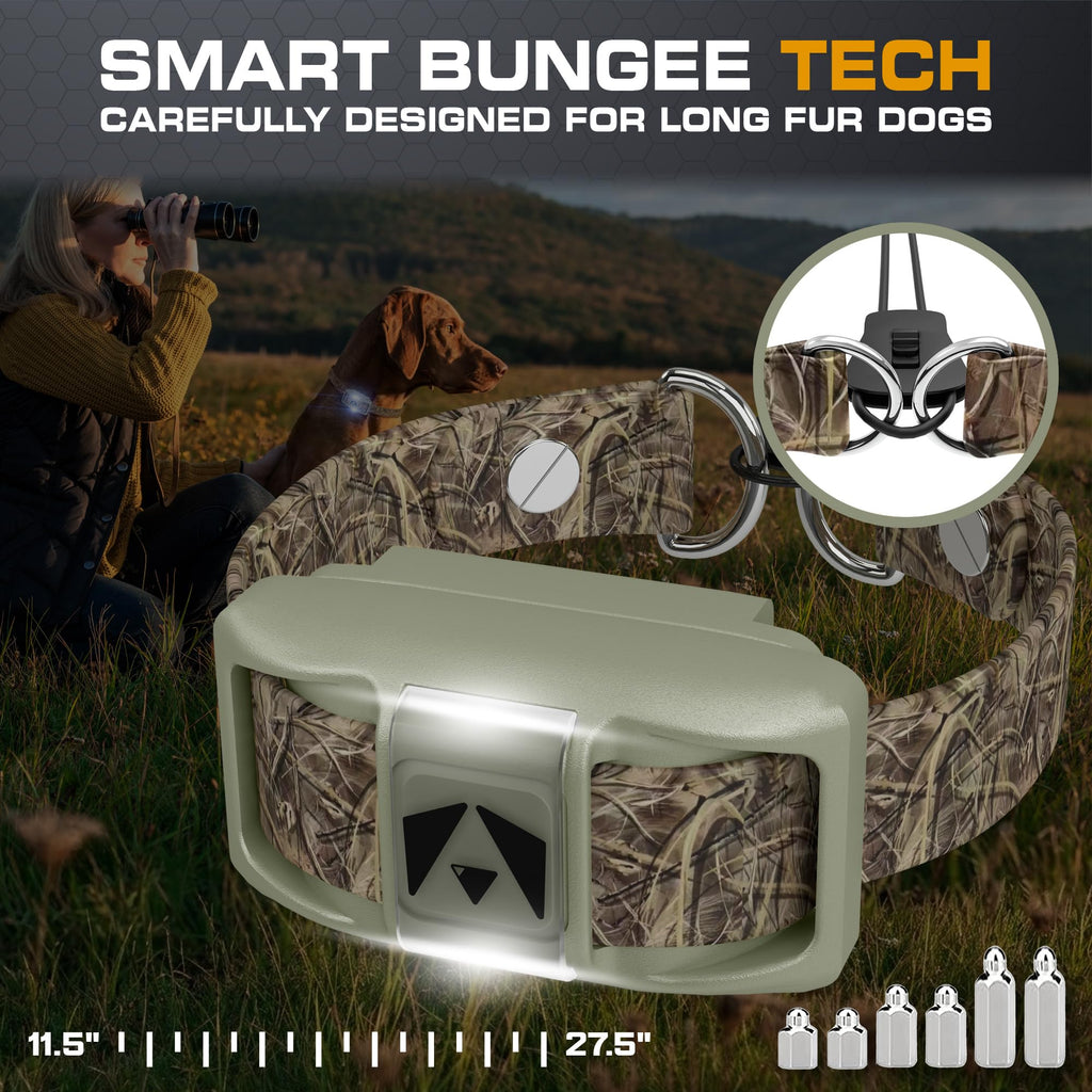 Dog Training Collar with Remote H49186