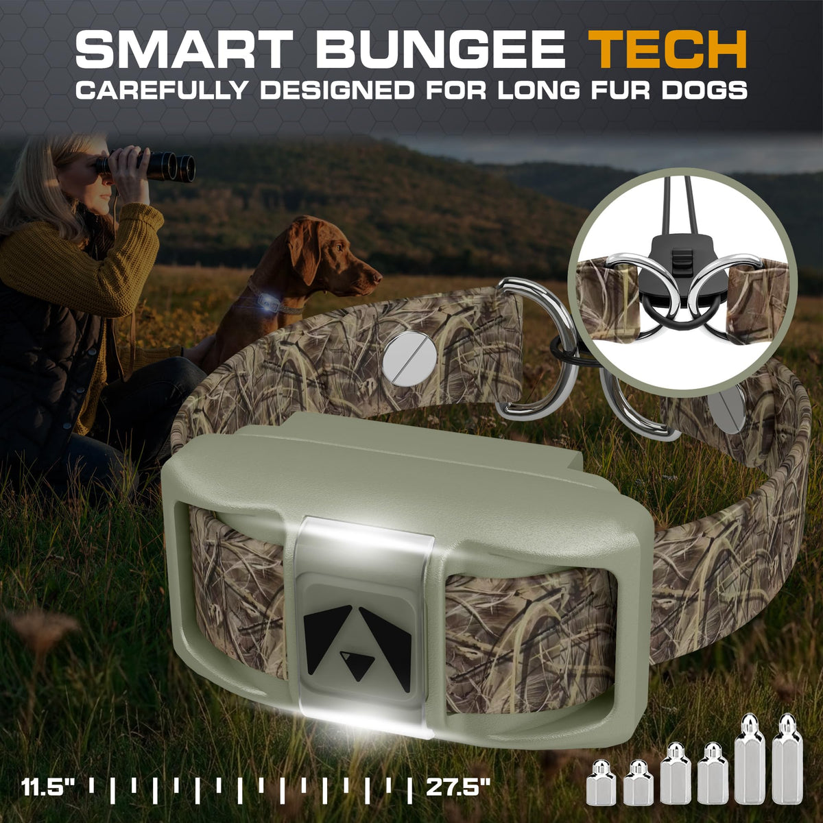 Dog Training Collar with Remote H49186
