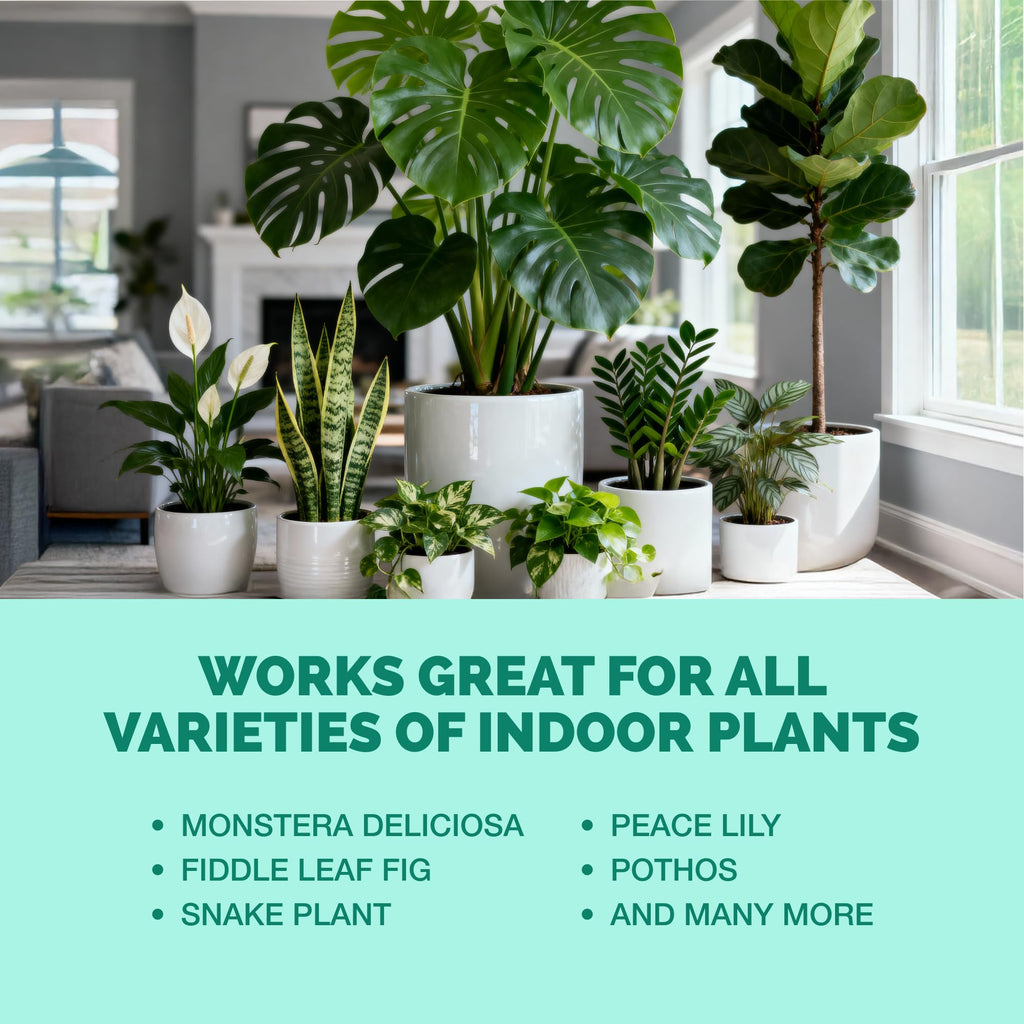 Indoor Plant Food Liquid Fertilizer 32oz V770806