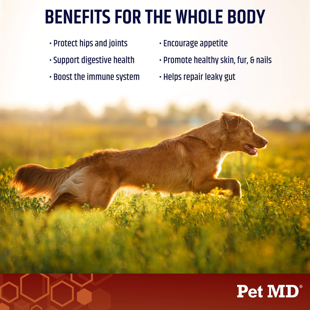Bone Broth Powder Supplement & Pill Paste M3804