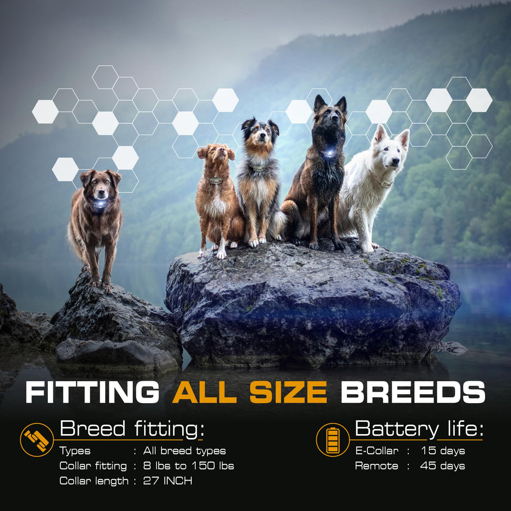 Dog Training Collar with Remote H49186