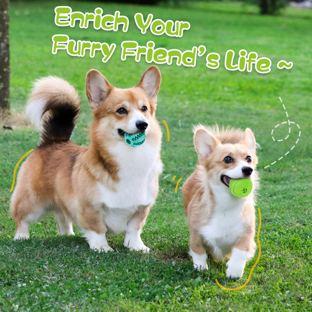 2 Pack Interactive Dog Puzzle Toys C817944