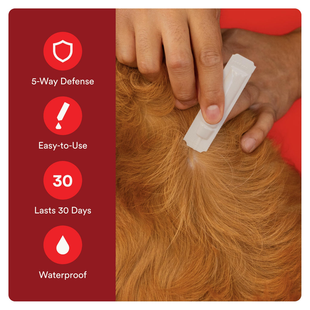 Flea and Tick Prevention for Small Dogs 4-10 lbs (2 Doses) + Flea Treatment for Dogs 2-25 lbs (6 Doses) B284