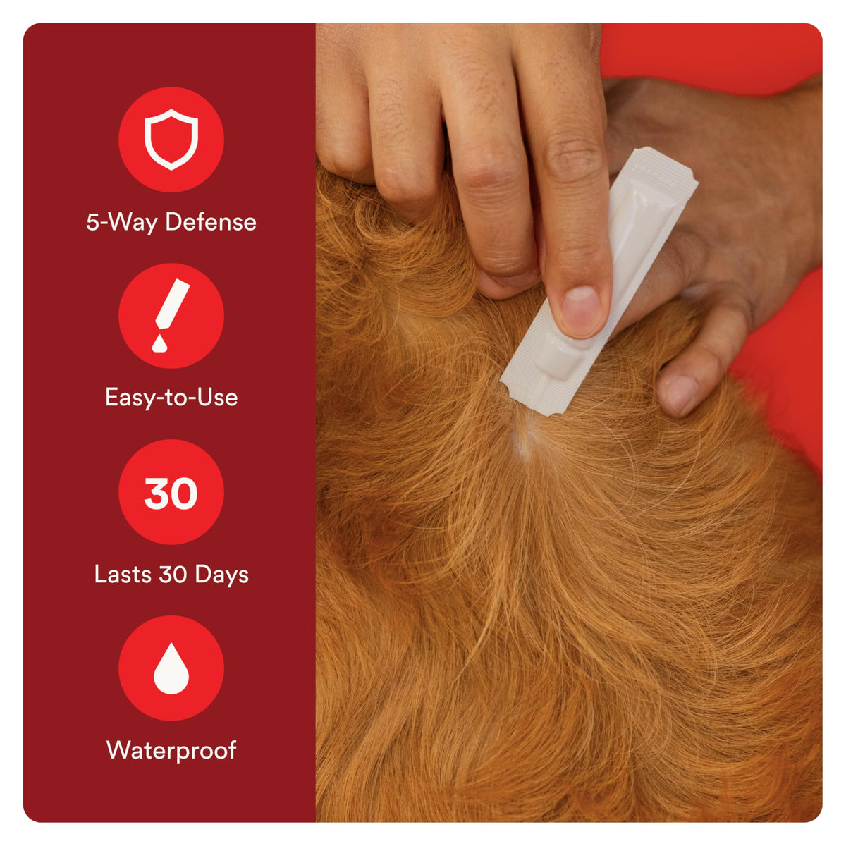 Flea and Tick Prevention for Small Dogs 4-10 lbs (2 Doses) + Flea Treatment for Dogs 2-25 lbs (6 Doses) B284