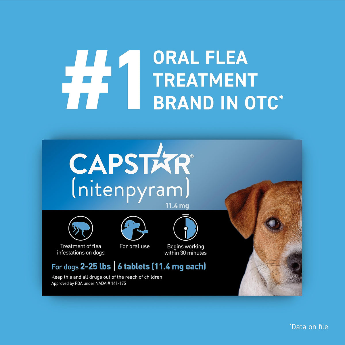 Flea and Tick Prevention for Small Dogs 4-10 lbs (2 Doses) + Flea Treatment for Dogs 2-25 lbs (6 Doses) B284