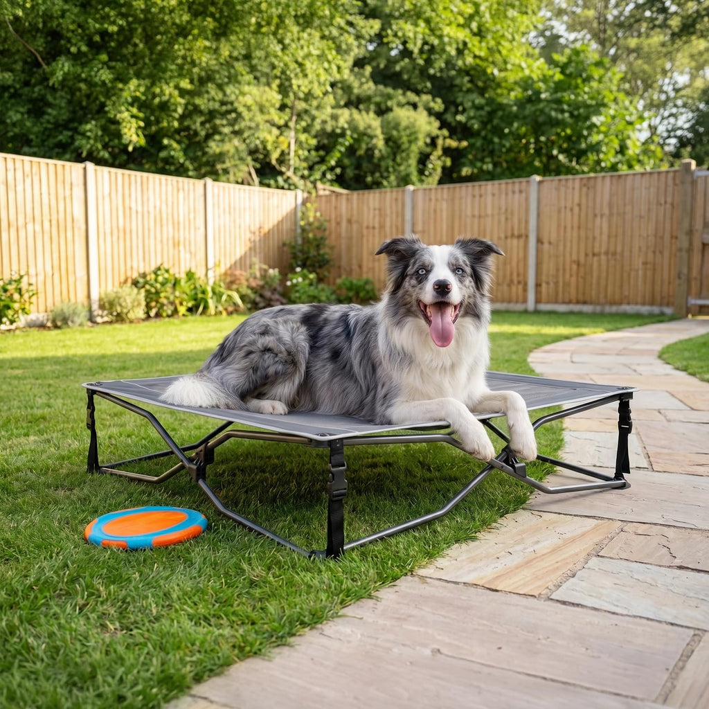 Elevated Cooling Dog Bed with Breathable Mesh A736