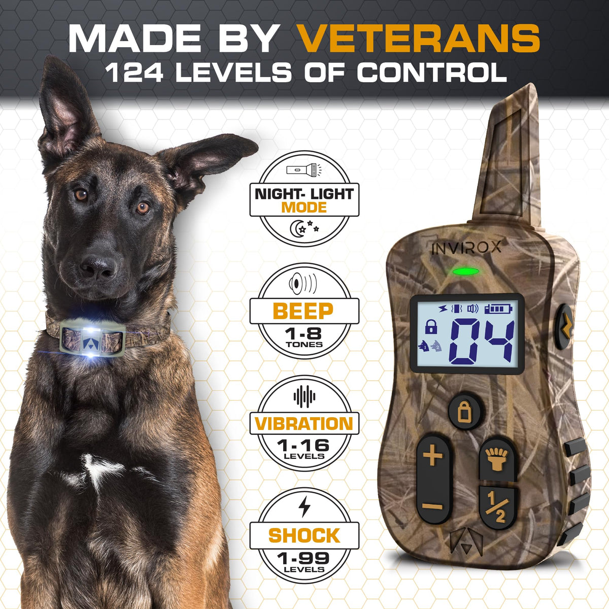 Dog Training Collar with Remote H49186
