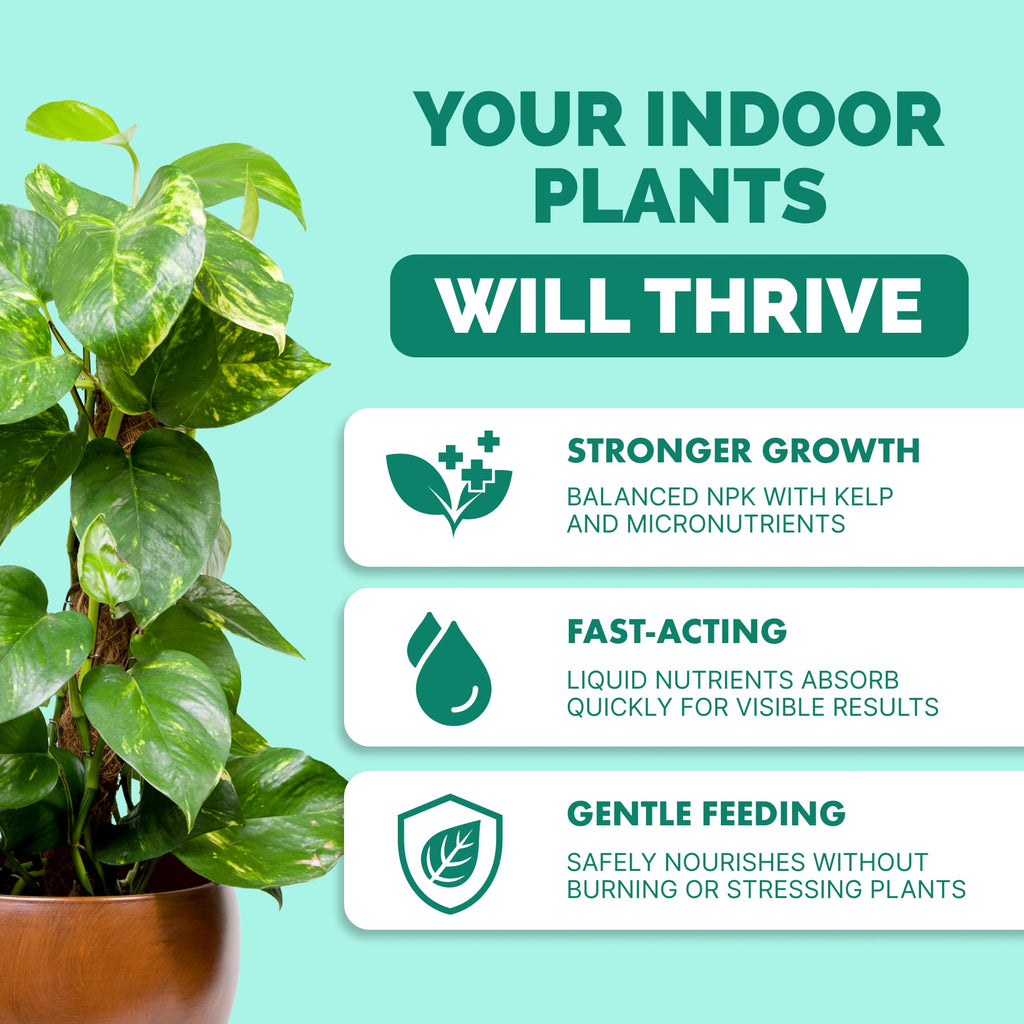 Indoor Plant Food Liquid Fertilizer 32oz V770806