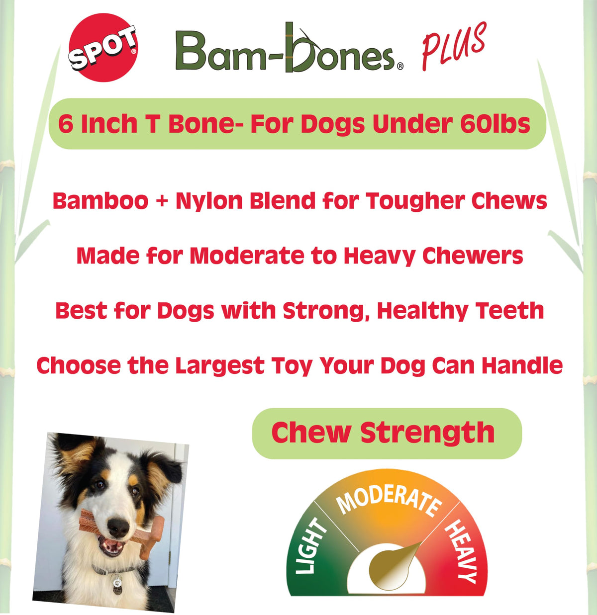 Beef Dog Chew T856