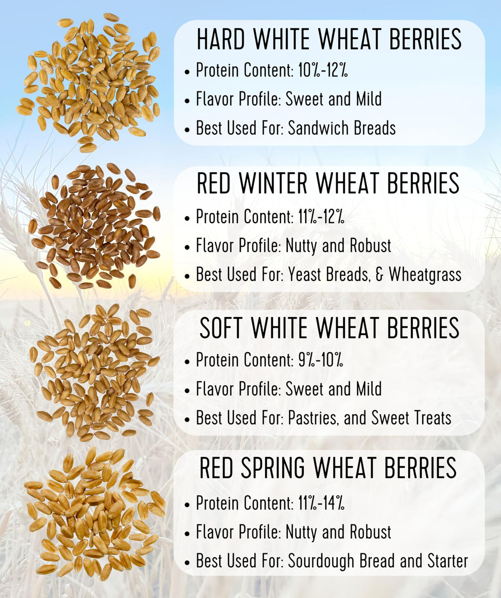 Hard White Wheat Berries 25 lbs O6562
