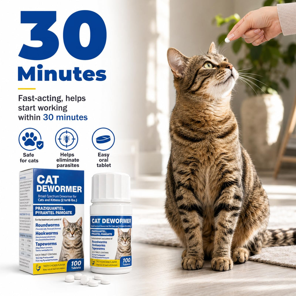 Cat and Kitten Dewormer 100 Tablets S727517