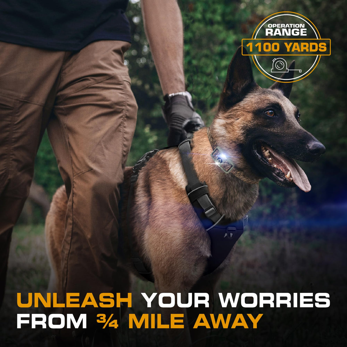 Dog Training Collar with Remote H49186