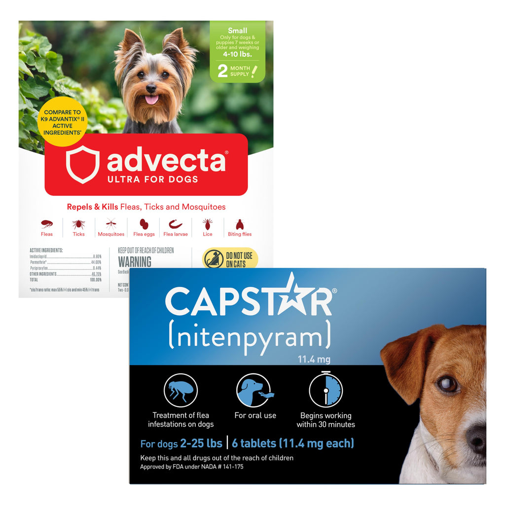 Flea and Tick Prevention for Small Dogs 4-10 lbs (2 Doses) + Flea Treatment for Dogs 2-25 lbs (6 Doses) B284