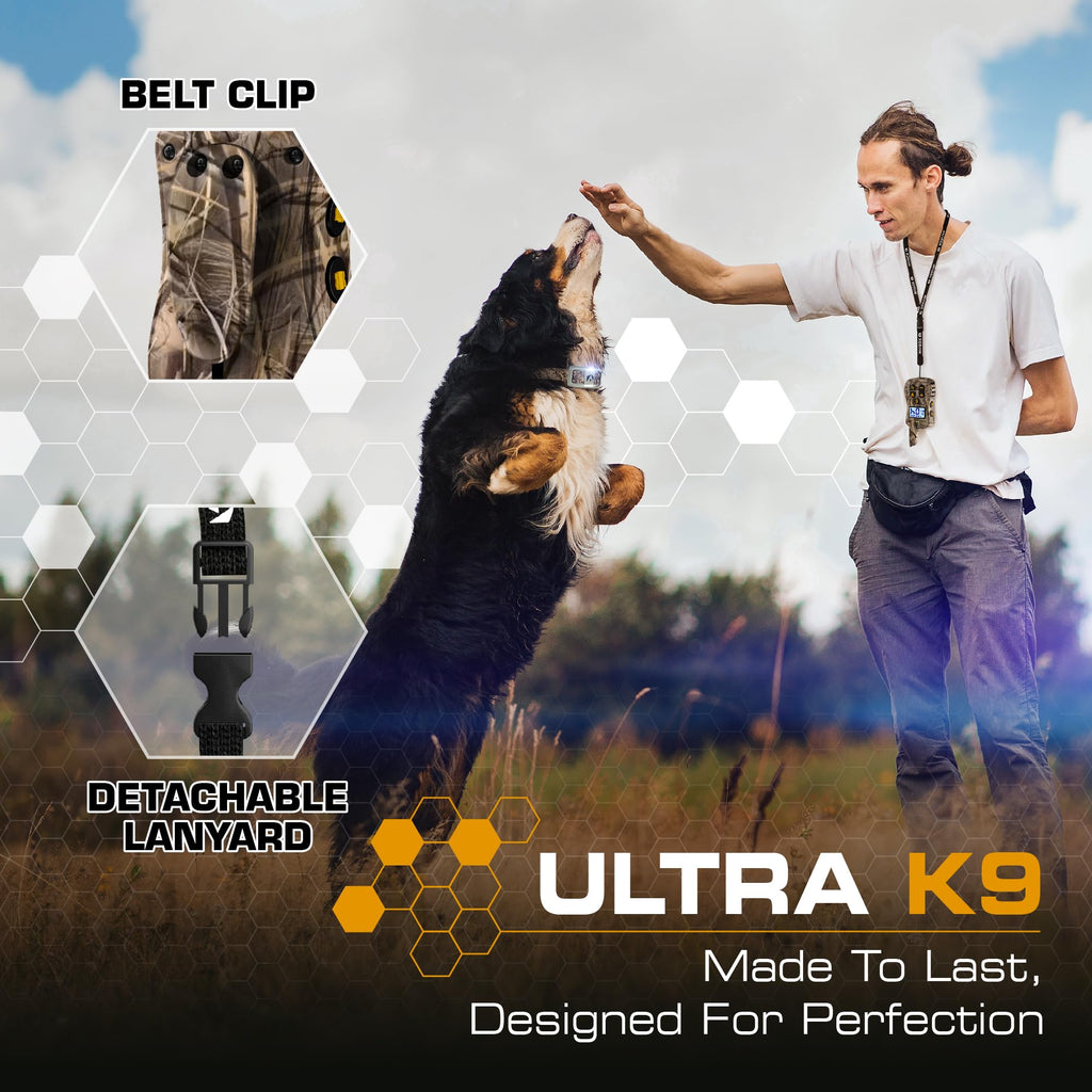 Dog Training Collar with Remote H49186
