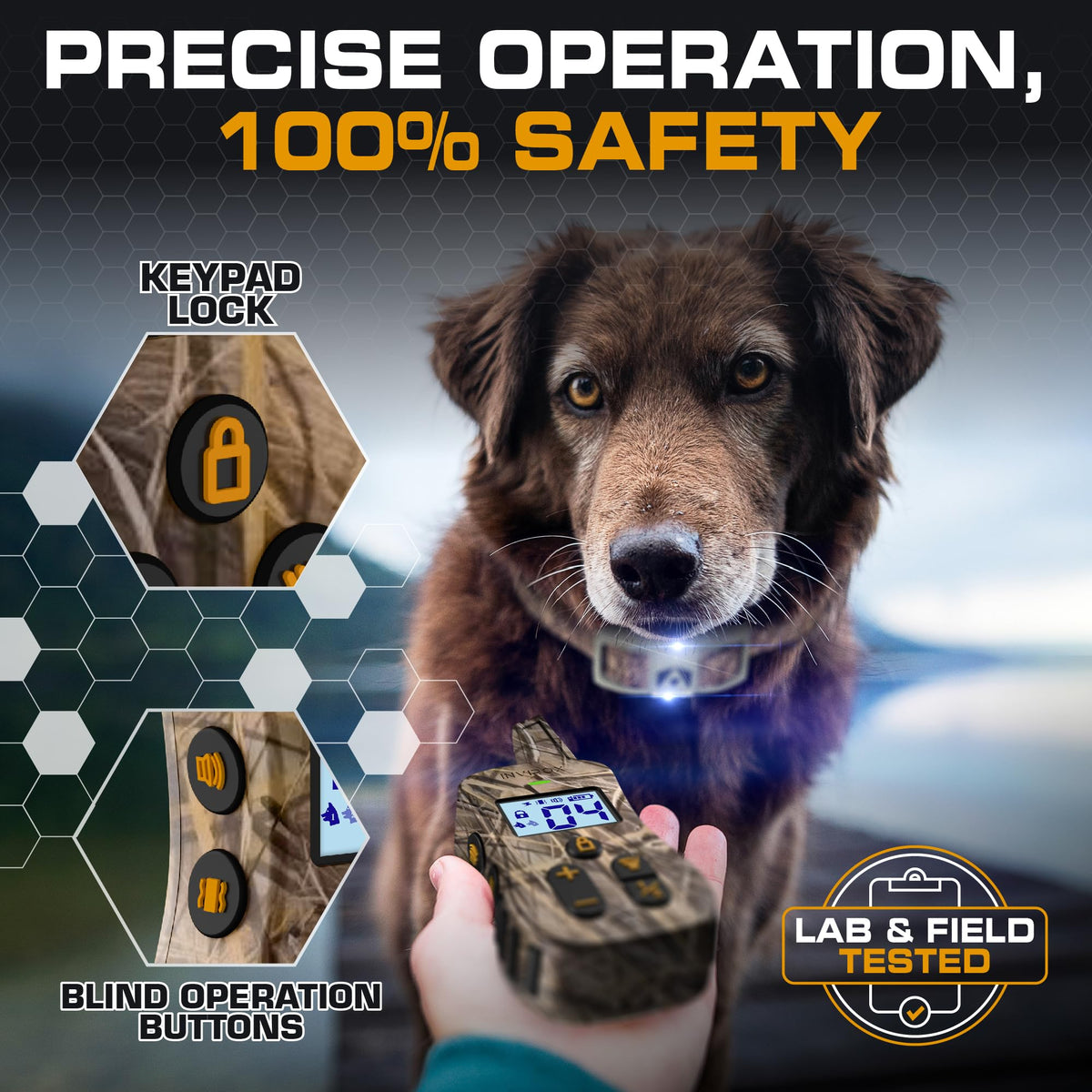 Dog Training Collar with Remote H49186