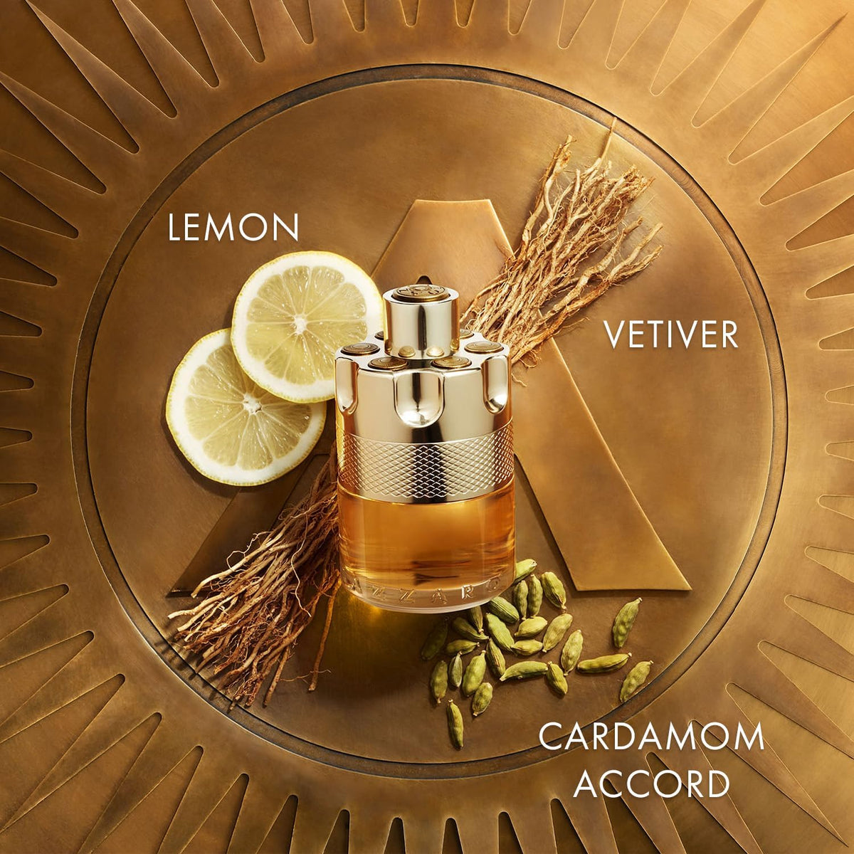 Woody Citrus Eau de Toilette 3.3 Fl Oz Q76438