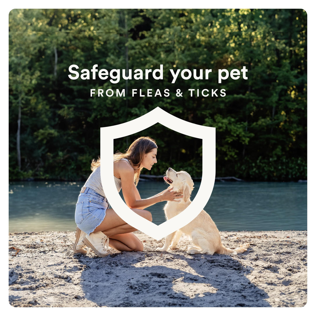Flea and Tick Prevention for Small Dogs 4-10 lbs (2 Doses) + Flea Treatment for Dogs 2-25 lbs (6 Doses) B284