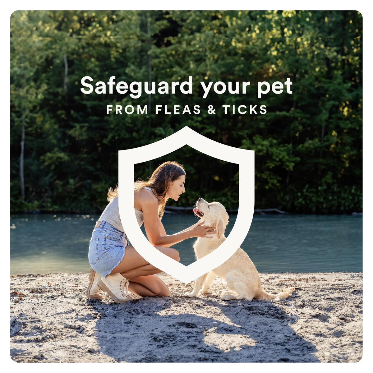 Flea and Tick Prevention for Small Dogs 4-10 lbs (2 Doses) + Flea Treatment for Dogs 2-25 lbs (6 Doses) B284