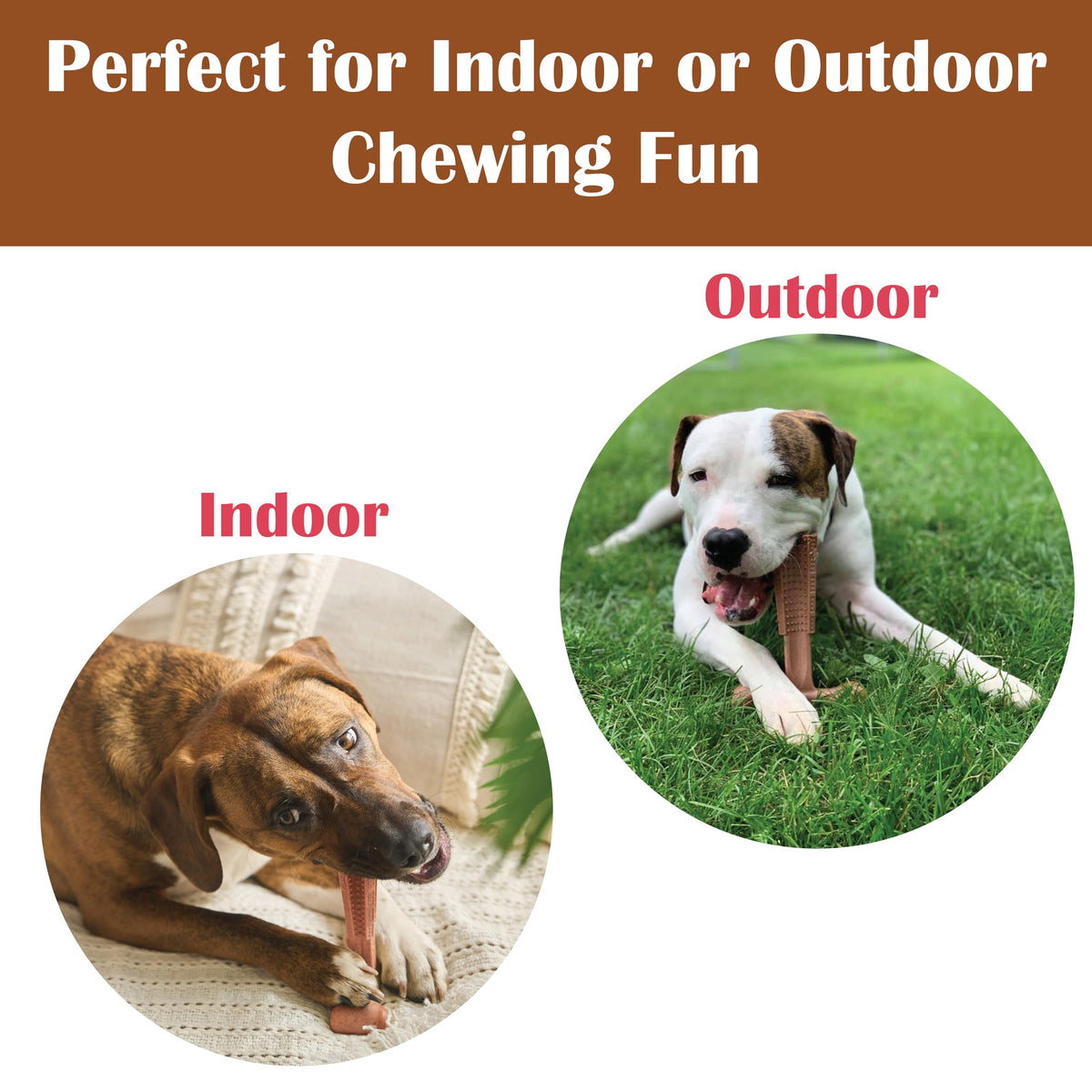 Beef Dog Chew T856