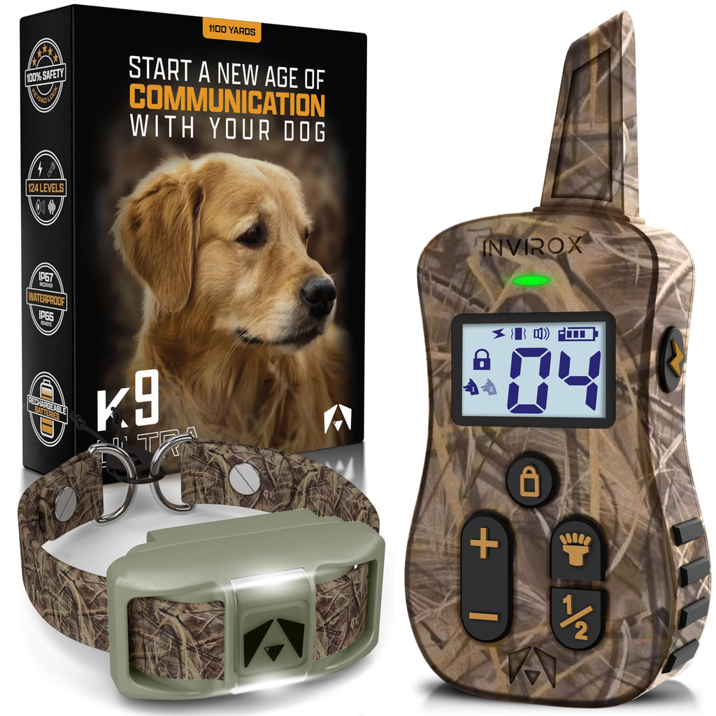 Dog Training Collar with Remote H49186
