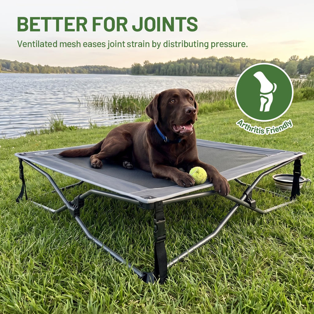 Elevated Cooling Dog Bed with Breathable Mesh A736