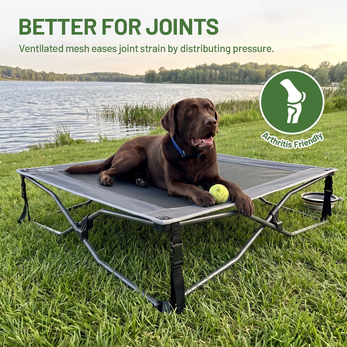 Elevated Cooling Dog Bed with Breathable Mesh A736