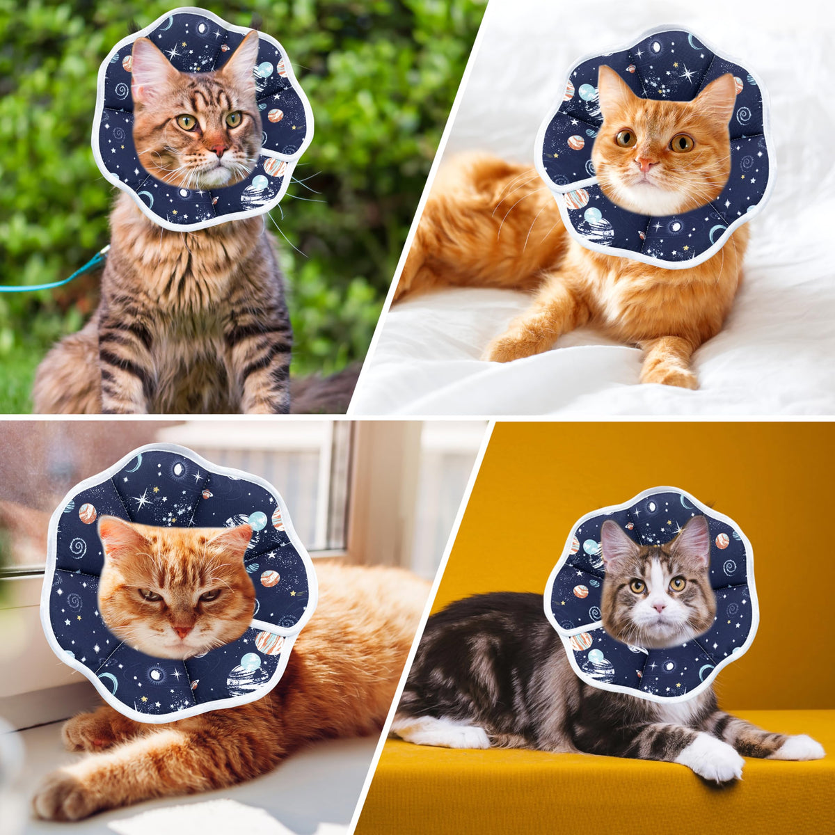 Adjustable Cat Recovery Collar G607587
