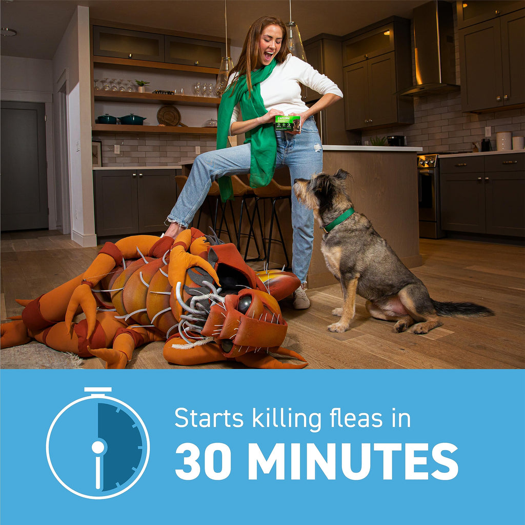 Flea and Tick Prevention for Small Dogs 4-10 lbs (2 Doses) + Flea Treatment for Dogs 2-25 lbs (6 Doses) B284
