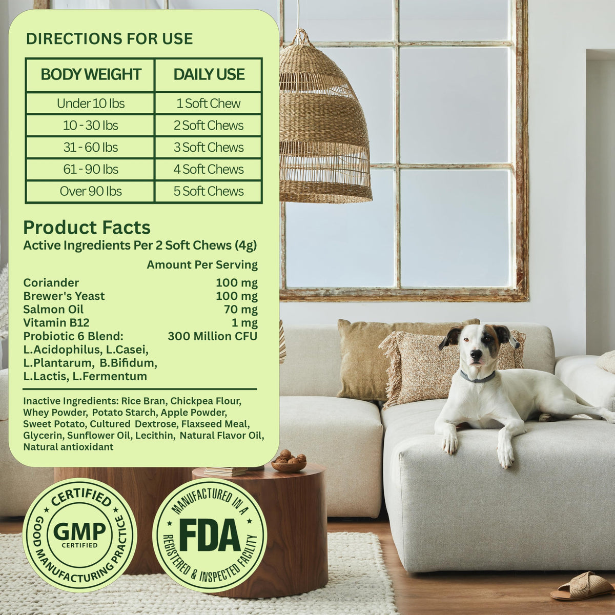 Chewable Flea and Tick Prevention for Dogs 120 Chews Beef C33813