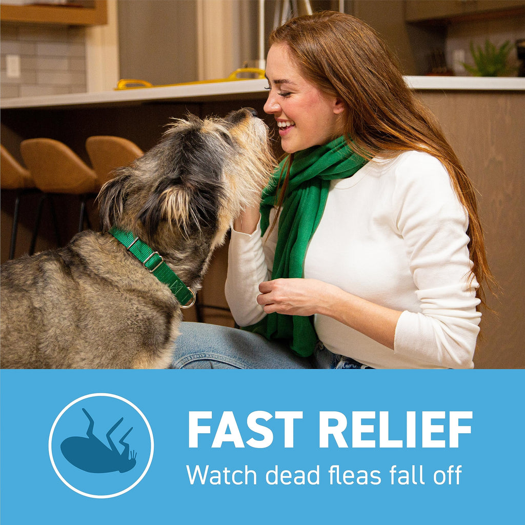 Flea and Tick Prevention for Small Dogs 4-10 lbs (2 Doses) + Flea Treatment for Dogs 2-25 lbs (6 Doses) B284